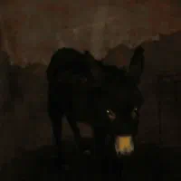 فروش الاغ مادیان جوان یک ونیم ساله درمرند|حیوانات مزرعه|مرند, |دیوار