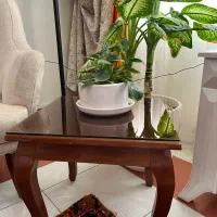 جلو مبلی|آب‌چکان و نظم‌دهنده ظروف|قزوین, |دیوار