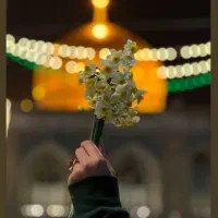 تور زیارتی مشهد نقد و اقساط
