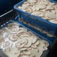 قارچ اسلایس فله(همه روزه)|خوردنی و آشامیدنی|رشت, معلم|دیوار