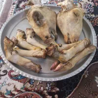 کله پاچه پاک کرده|خوردنی و آشامیدنی|شوشتر, |دیوار