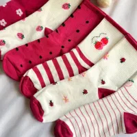 پوشاک زنانه /جوراب|لباس|صدرا-فارس, فاز ۱|دیوار