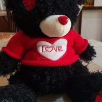 عروسک تدی|اسباب‌بازی بچه|تهران, آرژانتین|دیوار