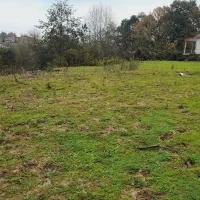 252متر/سندتکبرگ/برخیابان/استعلامات به روز|فروش زمین و ملک کلنگی|آستارا, |دیوار