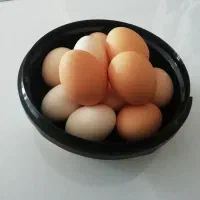 تخم مرغ محلی