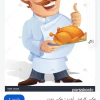 سر اشپز حرفه ای