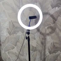 رینگ لایت فقط 950|لامپ و چراغ|همدان, |دیوار