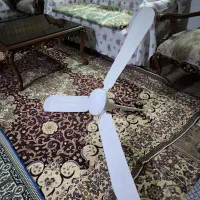 پنکه سقفی  ( اصلی )|پنکه و تصفیه‌کنندهٔ هوا|ملایر, |دیوار