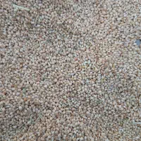 ارزن صاف تمیز