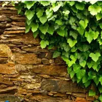 مسکن ملی شهرک فرهنگیان فاز۲ ۷۰درصد ساخت