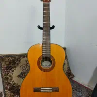 گیتار کلاسیک پرل ریور