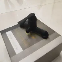 شیر توالت مشکی