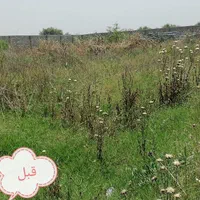 خدمات باغبانی وعلف زنی|خدمات باغبانی و درختکاری|دزفول, |دیوار