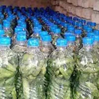 فروش خیارشور بطری