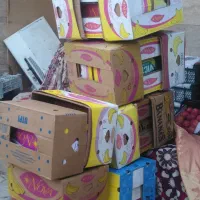 کارتن موزی سالم|عمده‌فروشی|شیروان (خراسان), |دیوار