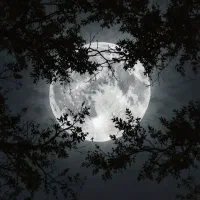 همخونه میشم