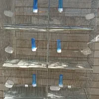 قفس هشت خان تا شو در حد نو|لوازم جانبی حیوانات|سامان, |دیوار