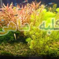 آکواریوم/پمپ هوا/واترپمپ آبنما/خوراک ماهی/پمپ هوا