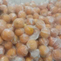 تامسون نایلون پیچ