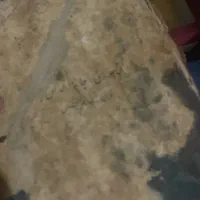 کتاب دعا