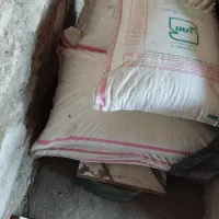 کود سفید امسال|خدمات باغبانی و درختکاری|بیستون, |دیوار