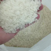 برنج دم سیاه|خوردنی و آشامیدنی|مهدی شهر, |دیوار