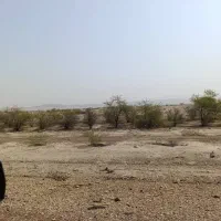 زمین-موقعیت-دار-و-آینده-دار-قیمت-مناسب