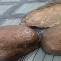 مس قدیمی|کلکسیون اشیاء عتیقه|قیدار, |دیوار