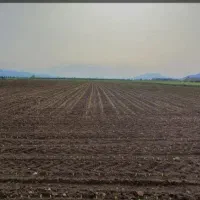 اجاره زمین کشاورزی