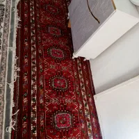 قالی دست باف|فرش|مشهد, کوی دروی|دیوار