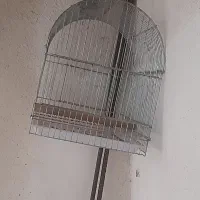 قفس پرنده|لوازم جانبی حیوانات|رشت, پیرکلاچای|دیوار