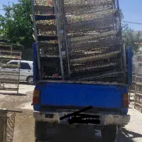 قفس بلدرچین تخمگذار