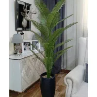 درختچه های کنار سالنی