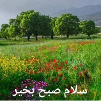 فروش زمین زراعی دیم در اقلید فارس