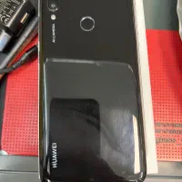 Y7 prime2019