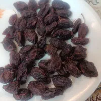 آلو خشک تازه ودرشت