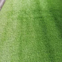 چمن مصنوعی تراکم بالا|گل مصنوعی|مشهد, رضاشهر|دیوار