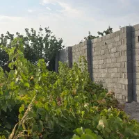 زمین باغ و باغچه ۲۰۵ متر.برق سهم آب سنددار|فروش زمین و ملک کلنگی|تهران, گلستان (شهرک راه آهن)|دیوار