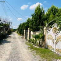 زمین-قابل-ساخت-ویو-جنگل-سندتک-برگ-چمستان