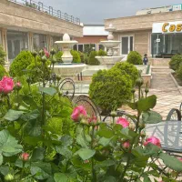 نیرو سالندار