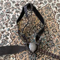 هیکلی، کمربند هیکلی علامت علم