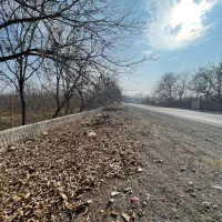 باغ بر جاده خوی چالدران|فروش زمین و ملک کلنگی|فیرورق, |دیوار