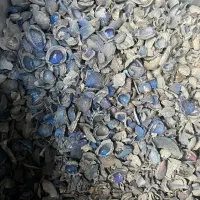 کربن بادام پسته