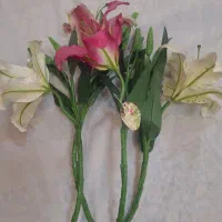 ظرف آشپزخانه|ظروف نگهدارنده، پلاستیکی، یکبارمصرف|کرمانشاه, |دیوار