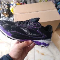 ساکونی و اسیکس  ۳جفت ببر ۹۵۰