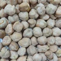 نخود سفید بذری درشت