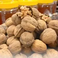 نمایشگاه ‌پاییزه