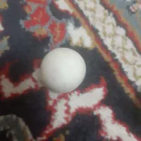 سنگ قیمتی|جواهرات|شیراز, فرگاز|دیوار