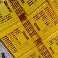 100عدد سبد صندوق نونو20 کیلویی نشکن ومحکم