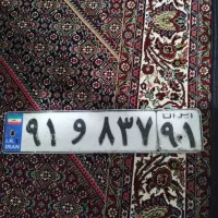 پیدا شدن پلاک